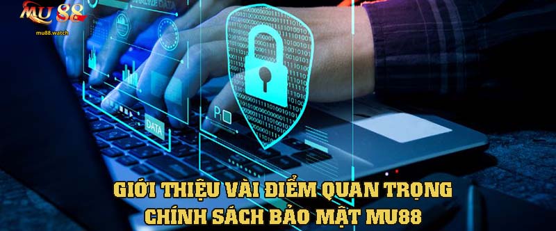 Giới thiệu vài điểm quan trọng của chính sách bảo mật nhà cái này