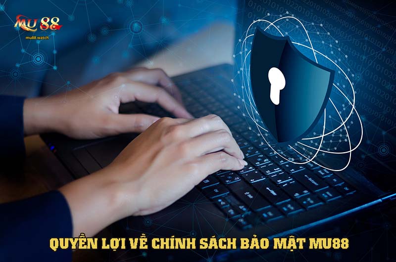 Các quyền lợi của chính sách bảo mật tại nhà cái nhà cái này