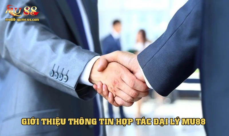 Giới thiệu thông tin về hợp tác đại lý nhà cái này